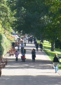 Asylum Seekers, Refugees and Higher Education